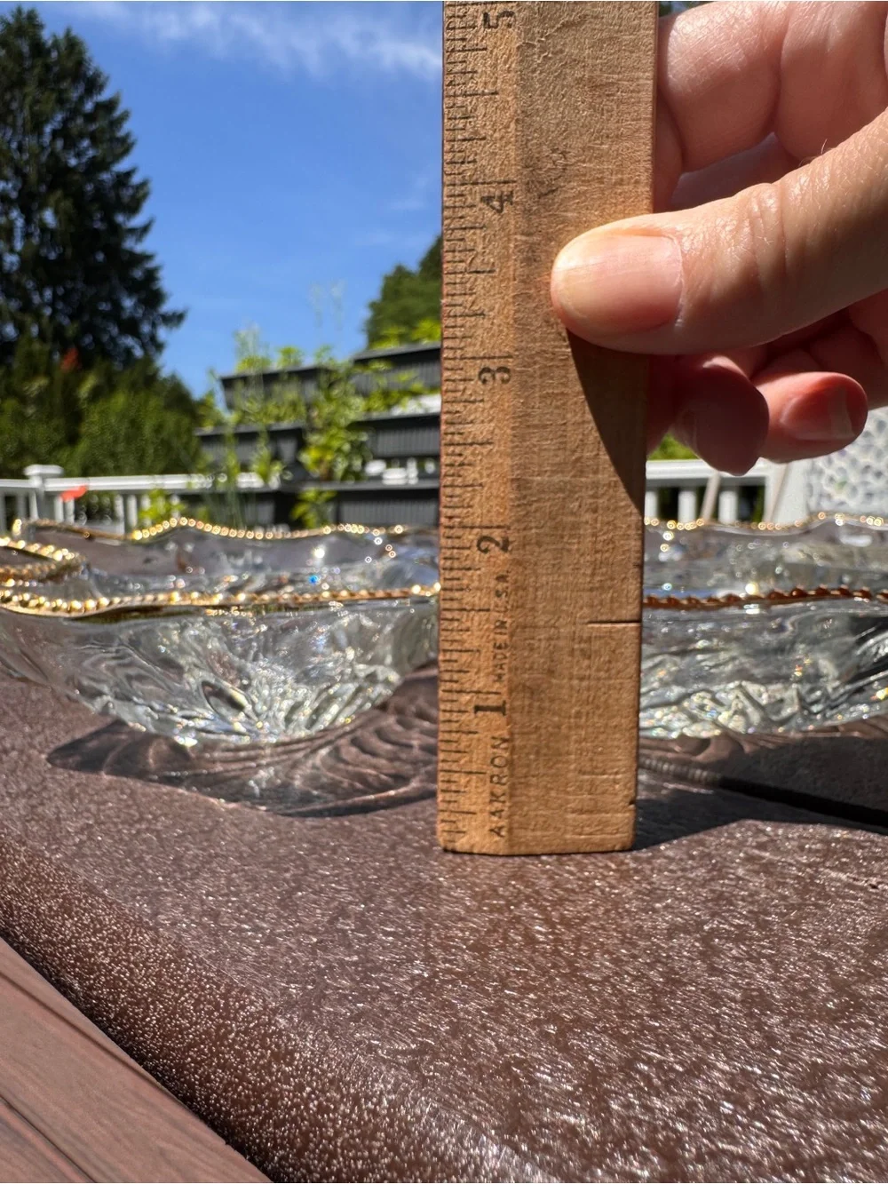 Clear Glass Leaf Serving Tray with Gold Beaded Rim